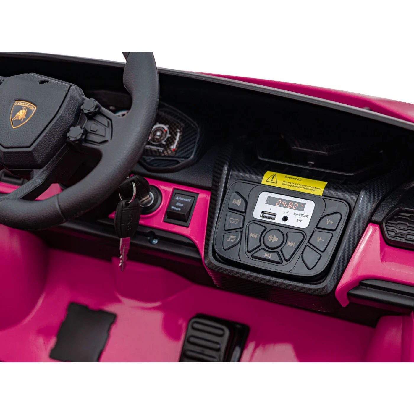LAMBORGHINI REVUELTO XL PINK 24V